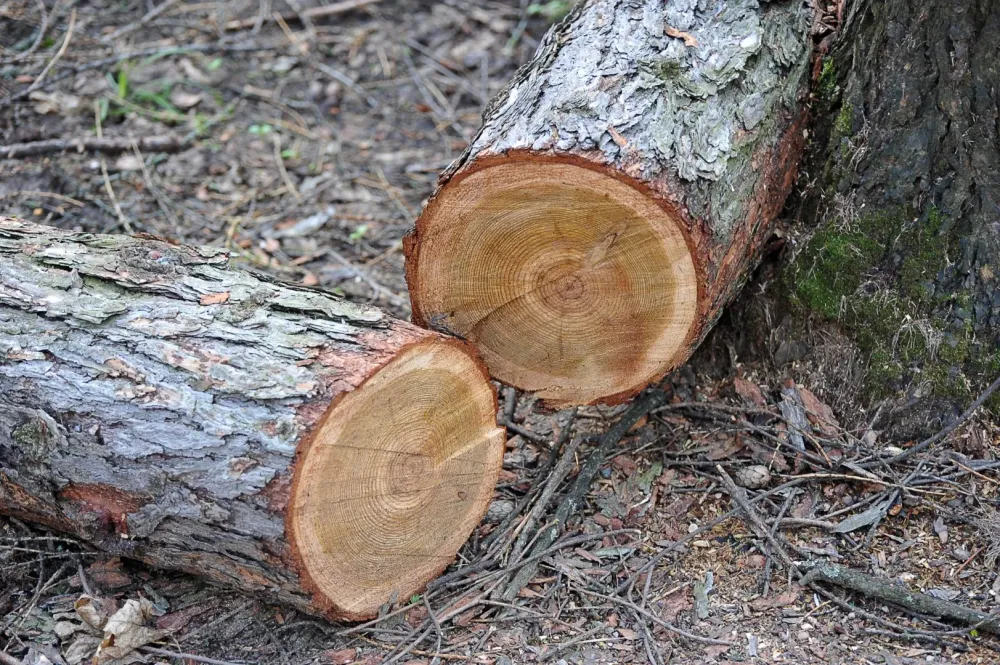 Stère de bois à Tulle